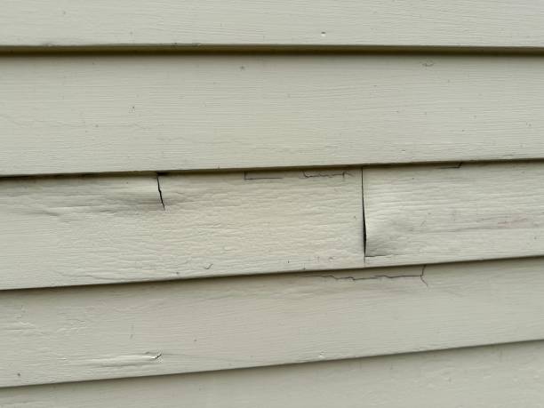 Siding for New Construction in Amite City, LA